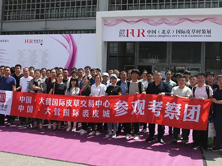 抖圈(中国区)人生就是搏!