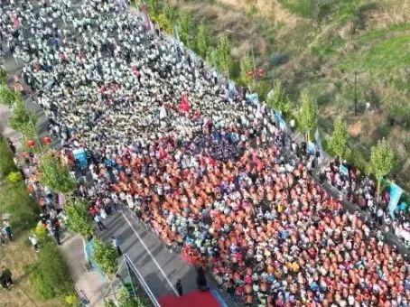 抖圈(中国区)人生就是搏!